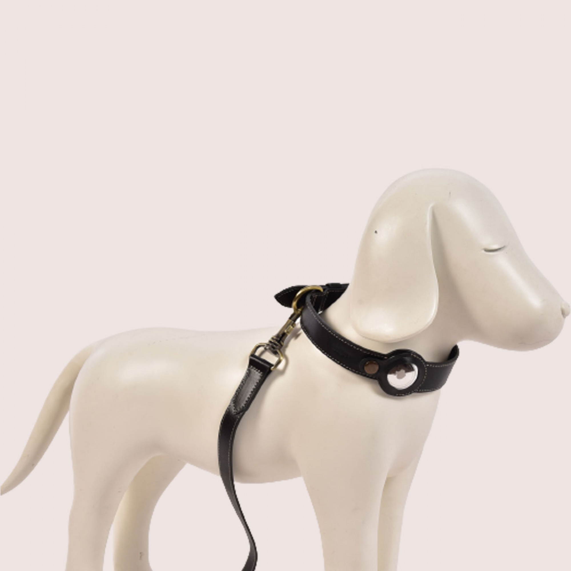 Dog Collar & Leash Dog Collar & Leash
