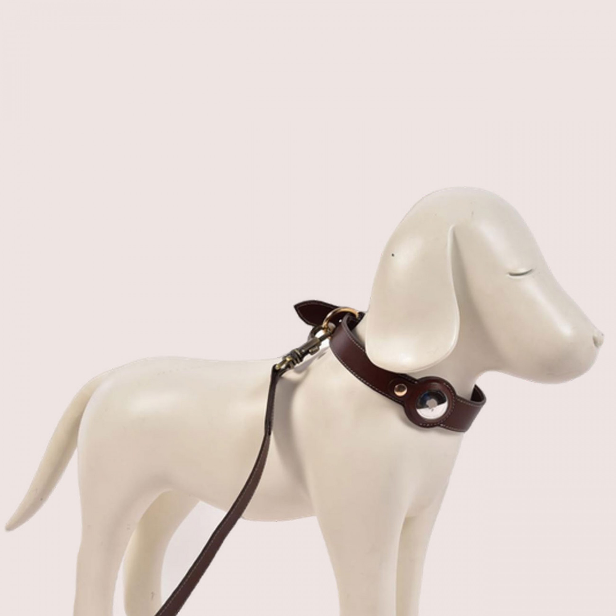 Dog Collar with Air Tag & Leash Dog Collar with Air Tag & Leash