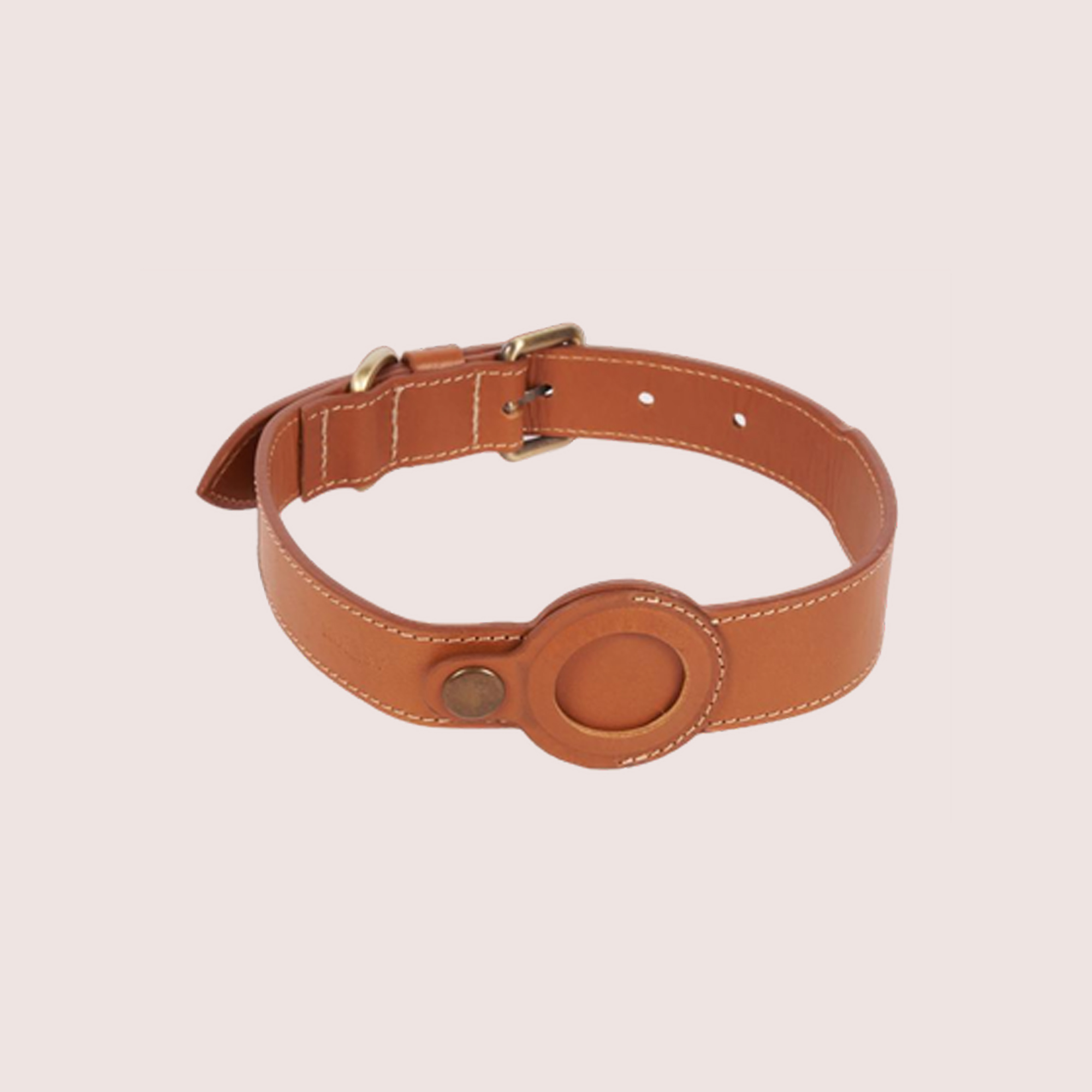 Dog Collar with Air Tag & Leash Dog Collar with Air Tag & Leash