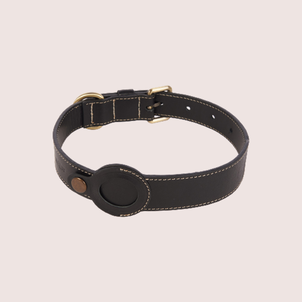 Dog Collar with Air Tag & Leash